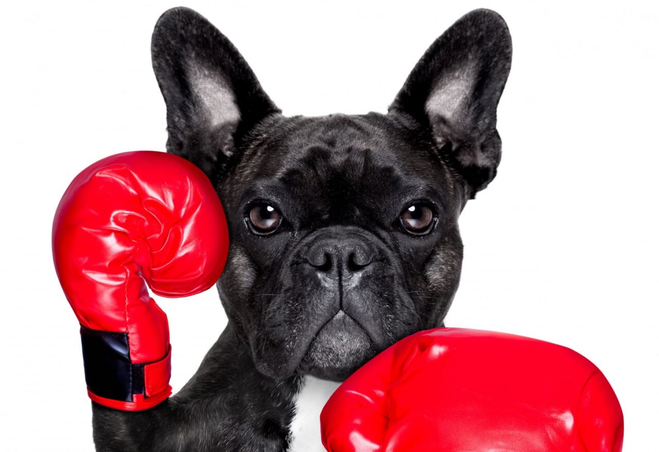 Drieluik 2. Omgaan met dementie: Voorkom onrust en boosheid