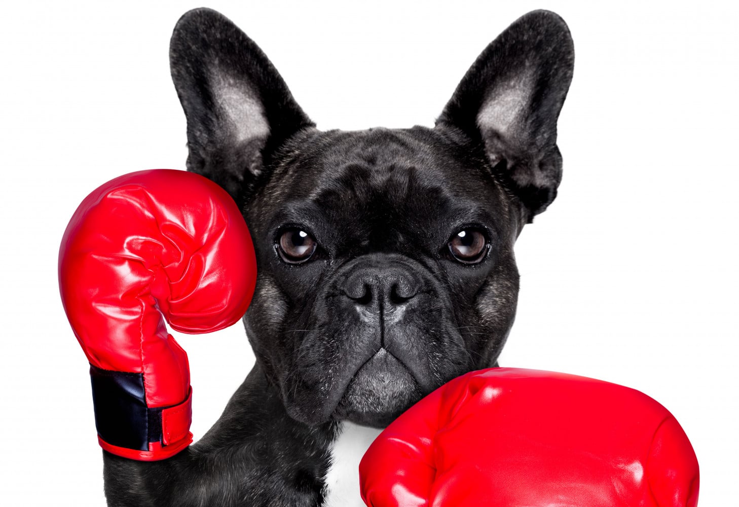 omgaan-met-dementie-agitati